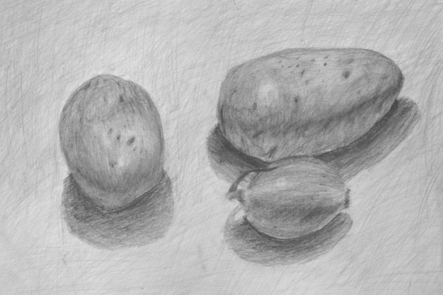 Гегельман Роман, 11 лет. Зарисовка картофеля (рисунок)